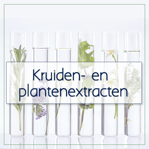 Kruiden- en plantenextracten