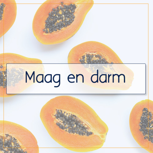 Maag en darm